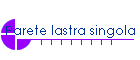 Parete lastra singola