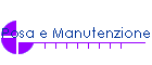 Posa e Manutenzione